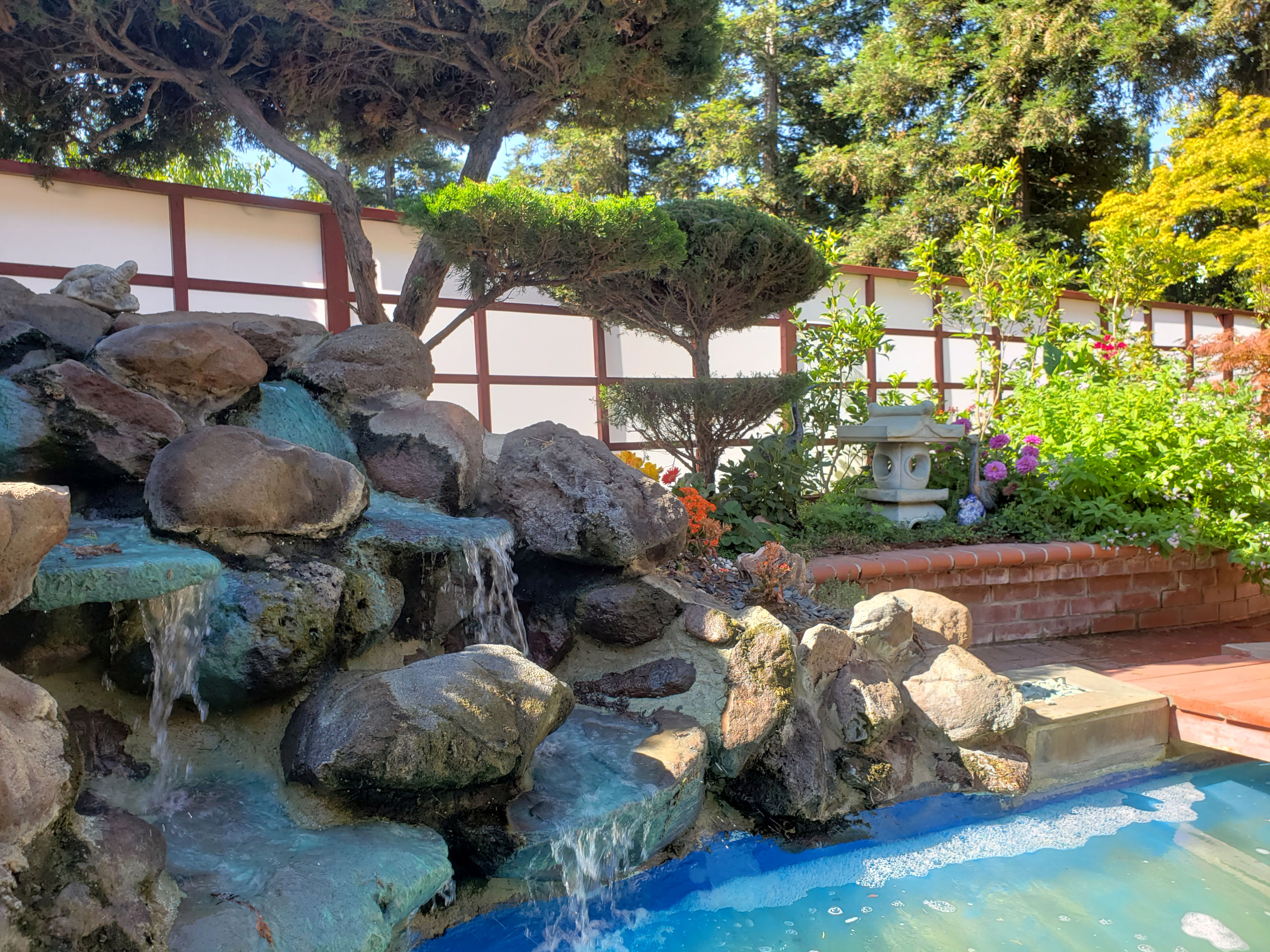 backyard photo