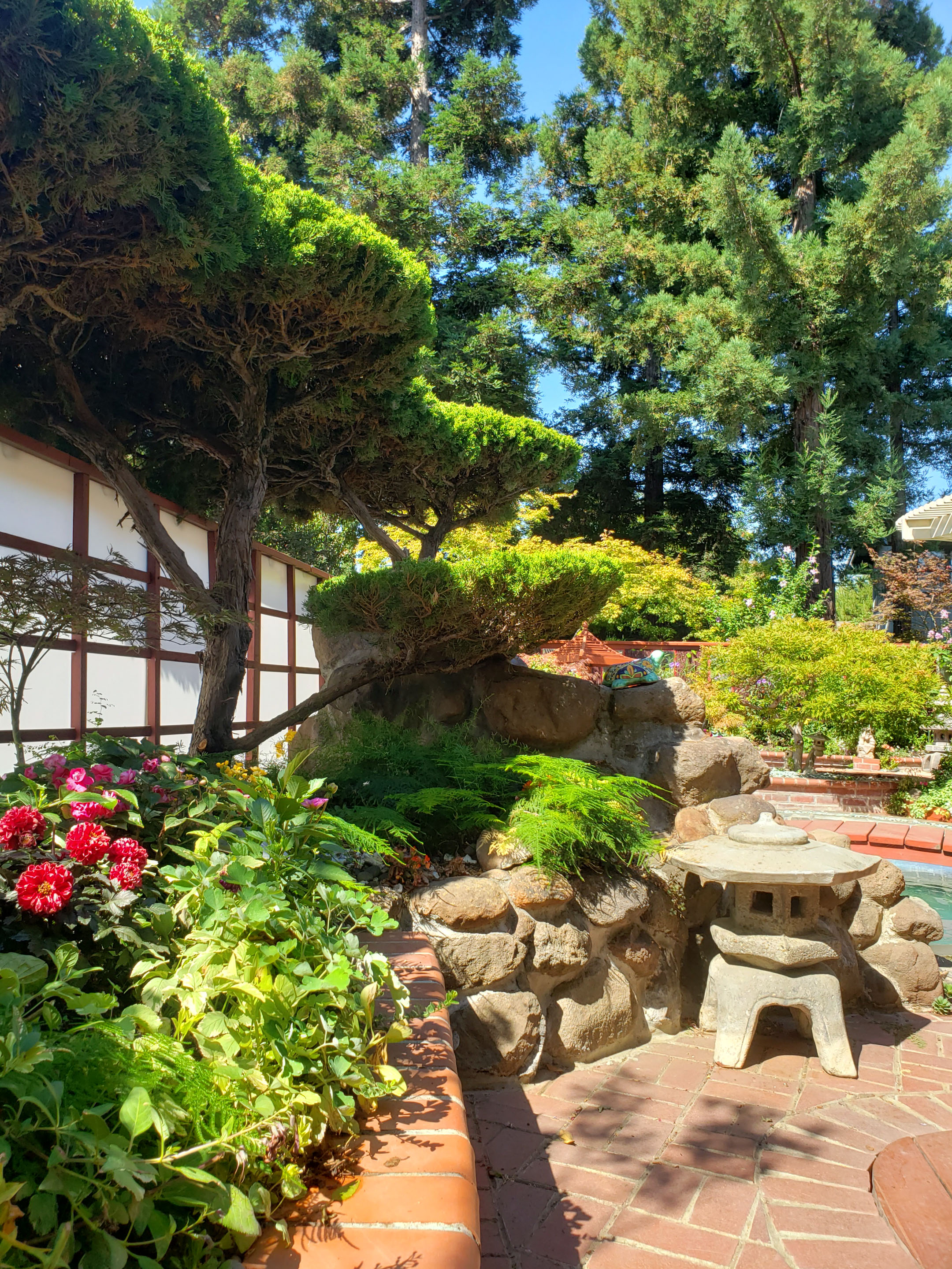 backyard photo