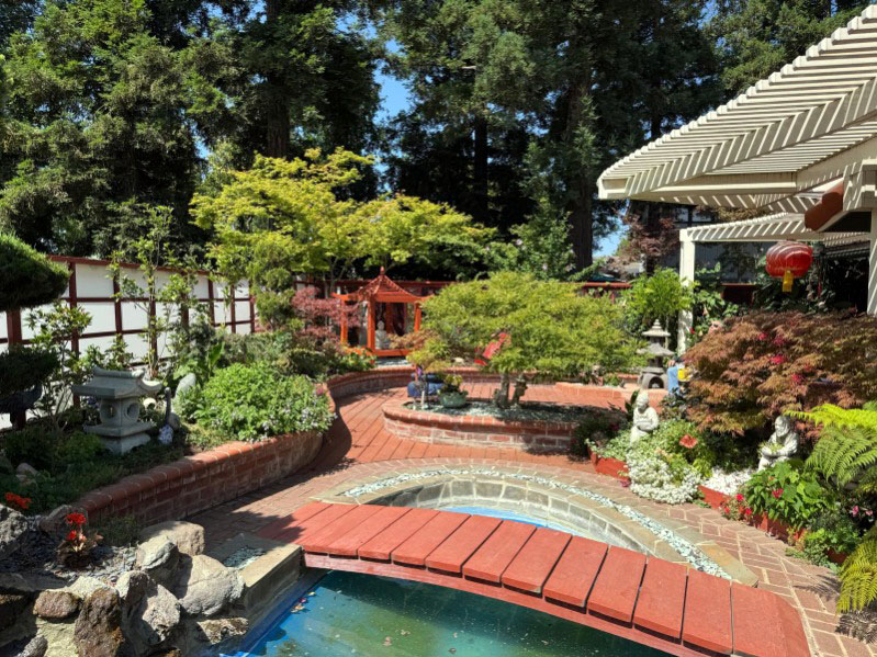 backyard photo