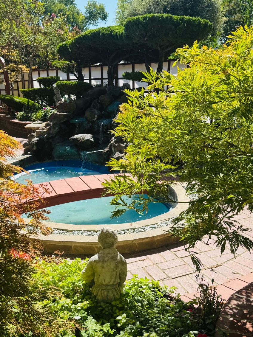 backyard photo