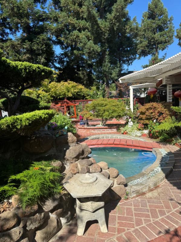 backyard photo