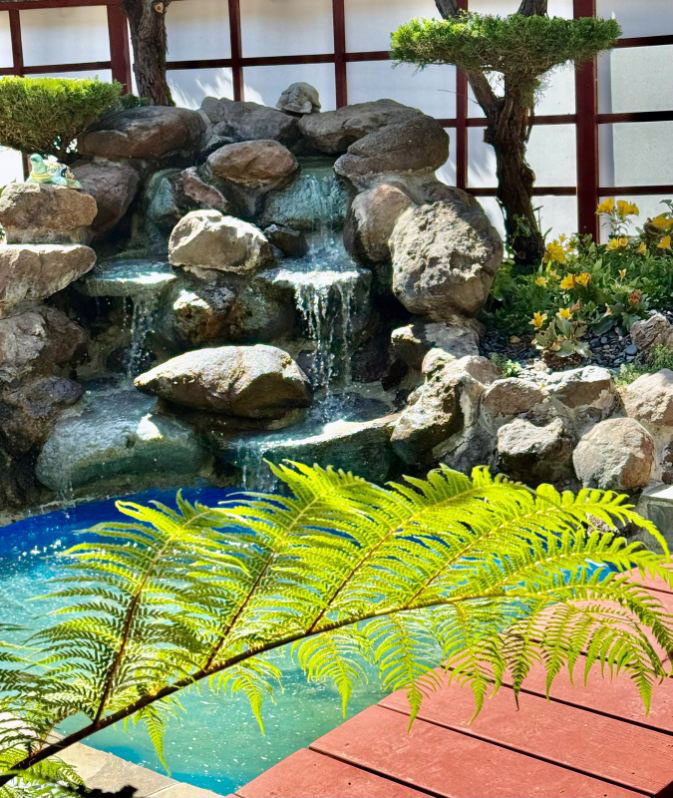 backyard photo
