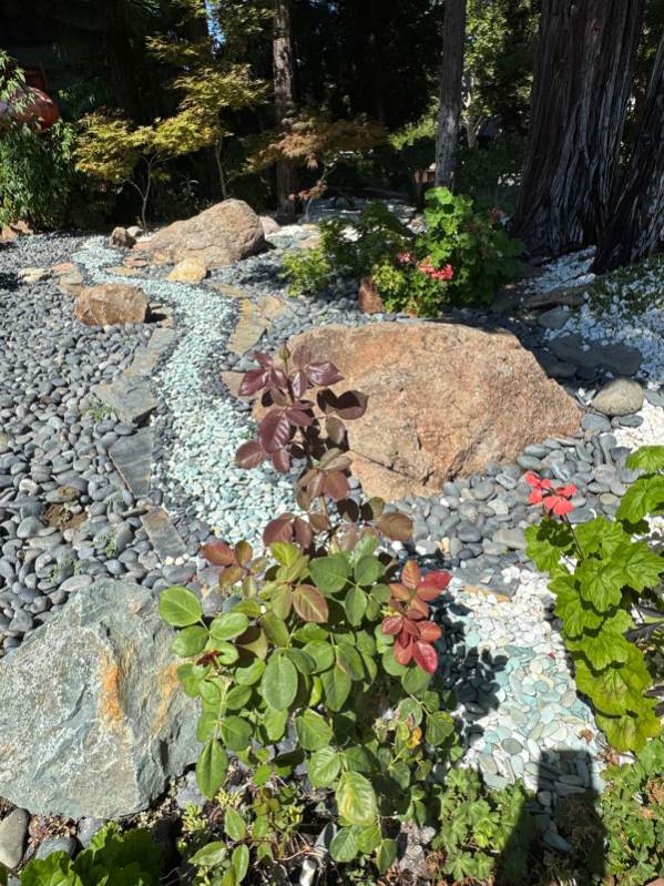 frontyard photo