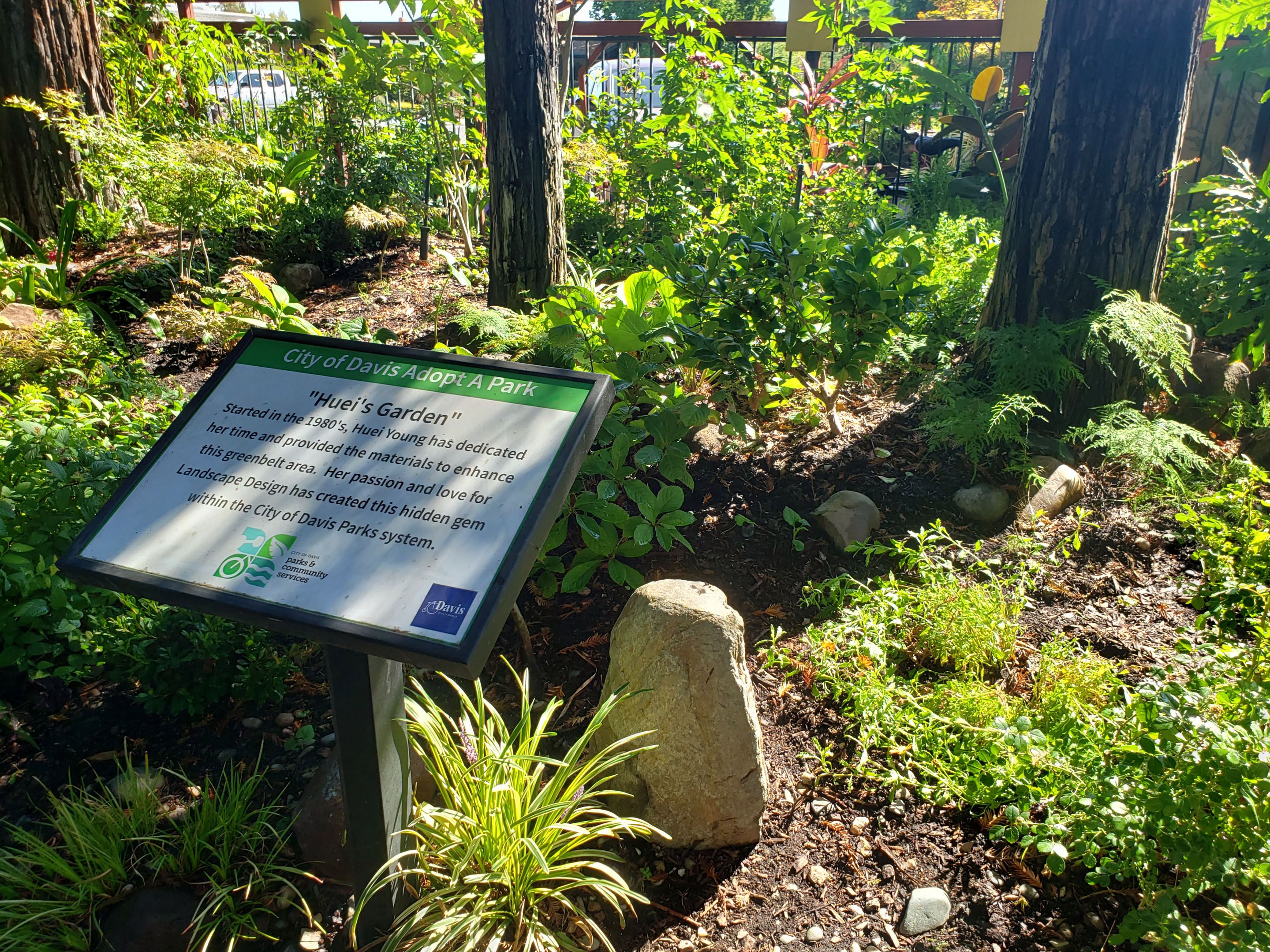 Davis City Garden photo