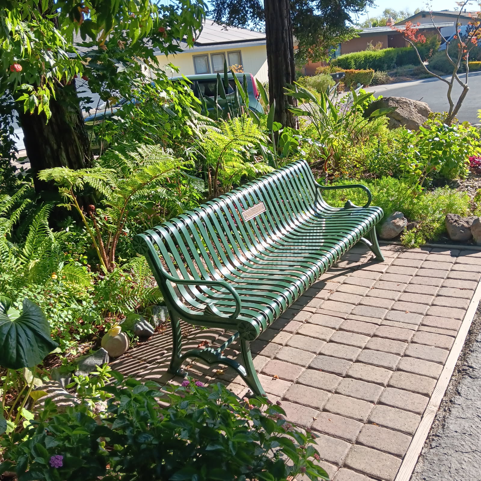 Davis City Garden photo
