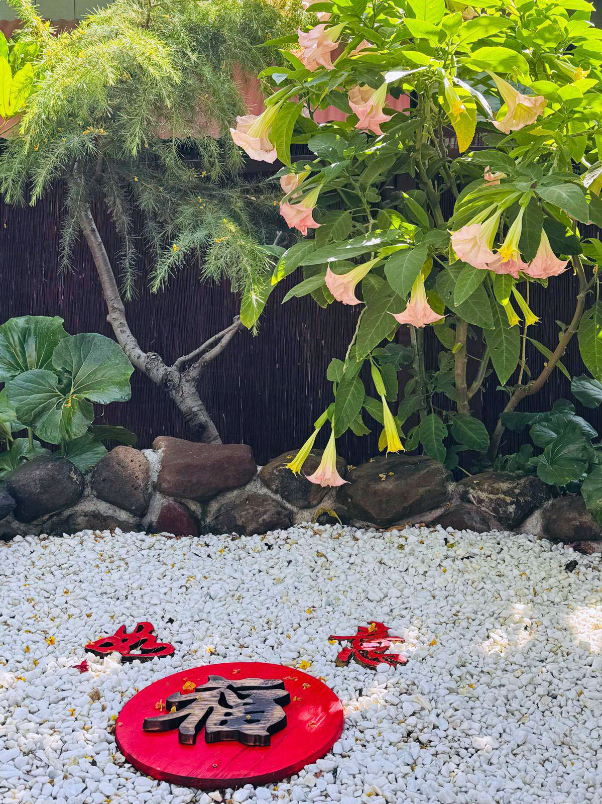 Davis City Garden photo