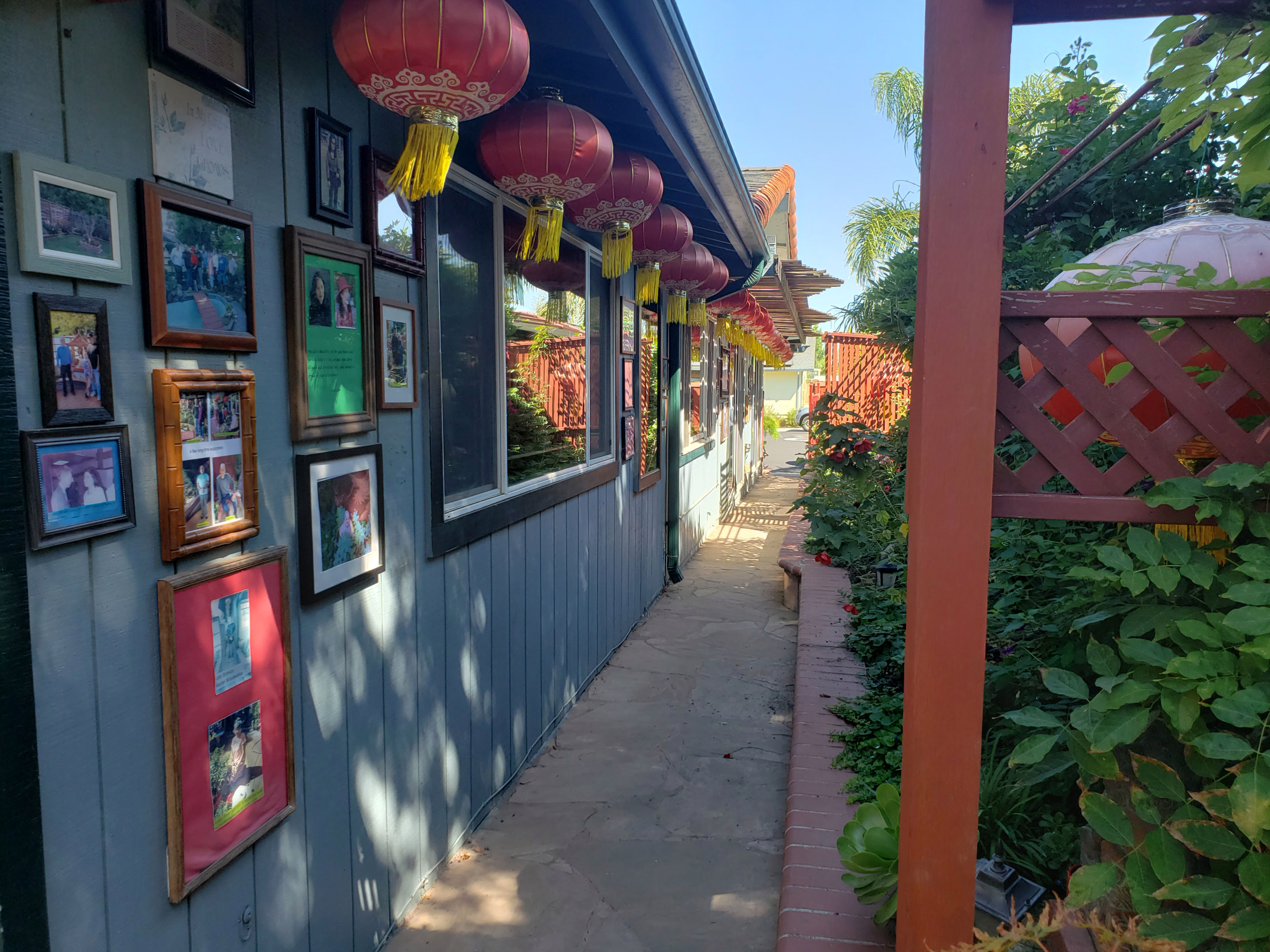 sideyard photo