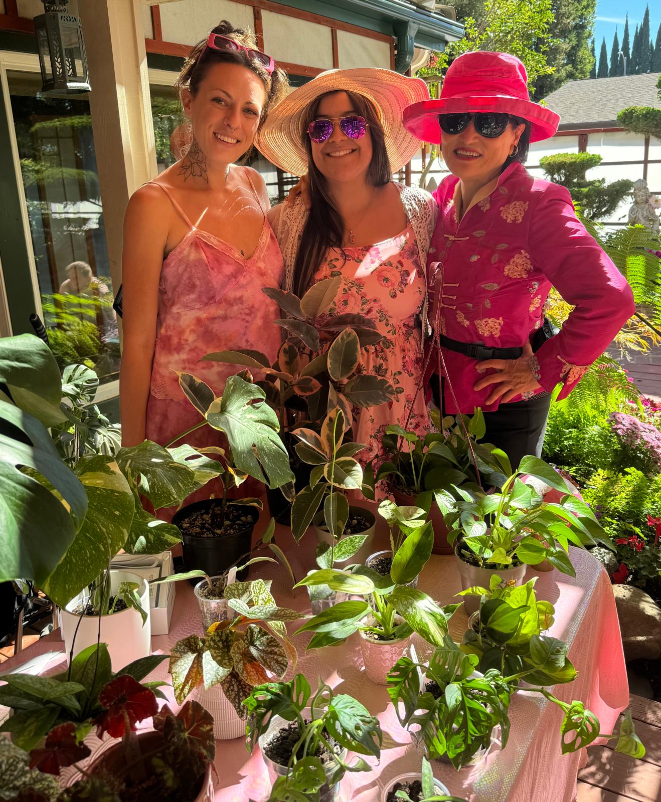 Thriving Pink at Huei’s Garden – photo 11