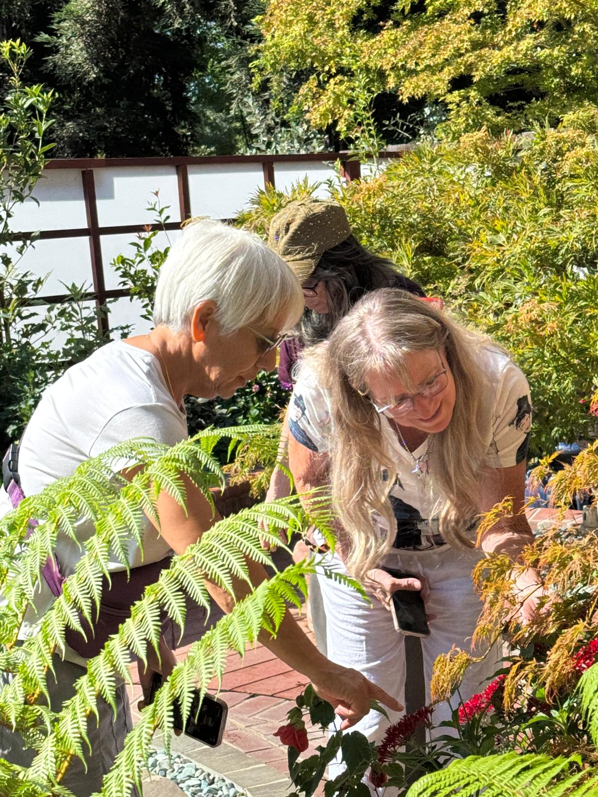 Private tour photo 6