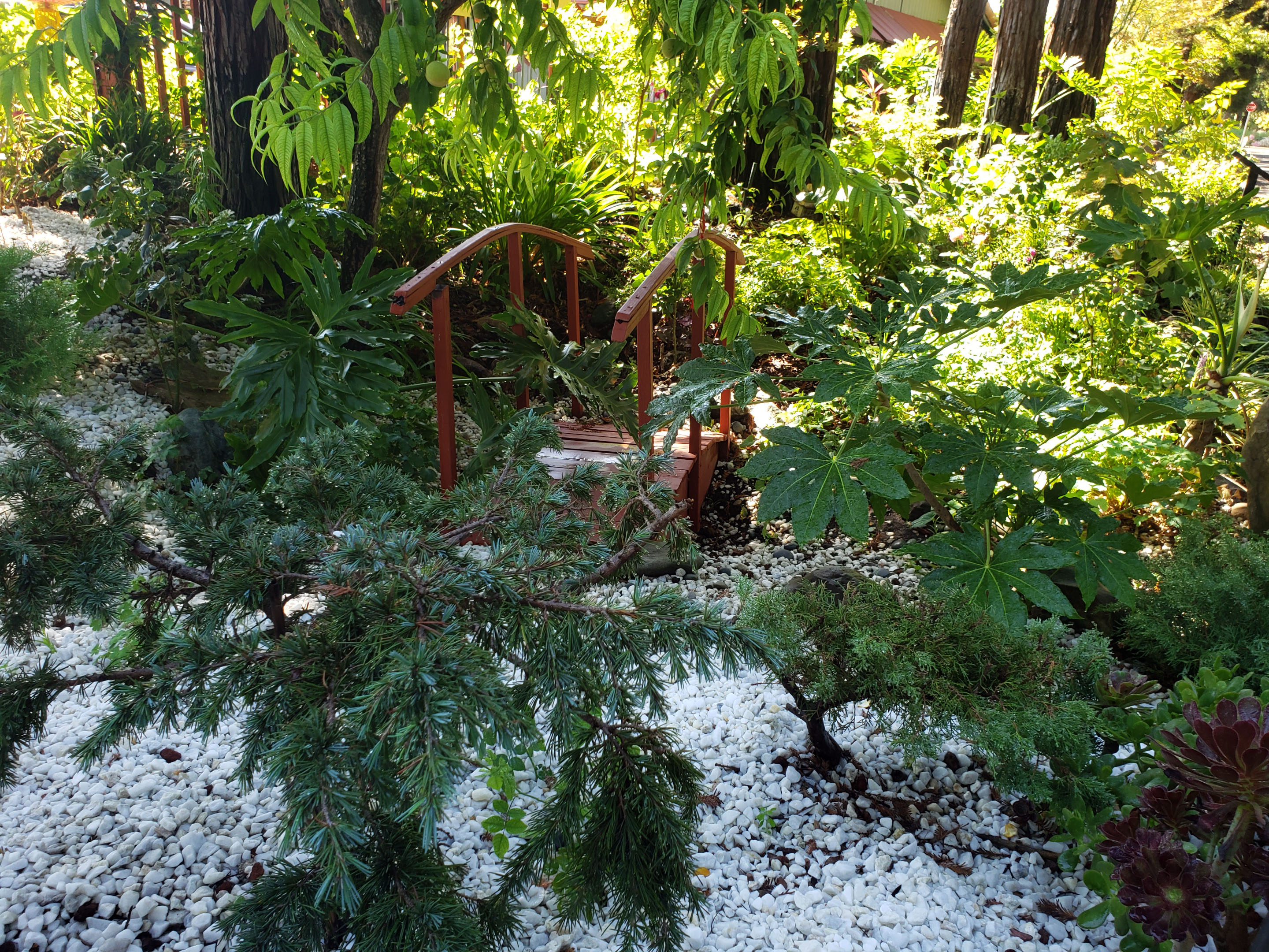 Huei’s Garden